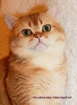           www.SuperFold.ru   8-926-200-57-70