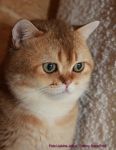           www.SuperFold.ru   8-926-200-57-70